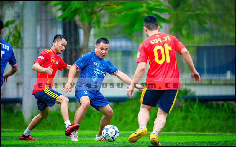 盾牌与数据流示意：个人数据在加密通道中按需传向赛事数据接口